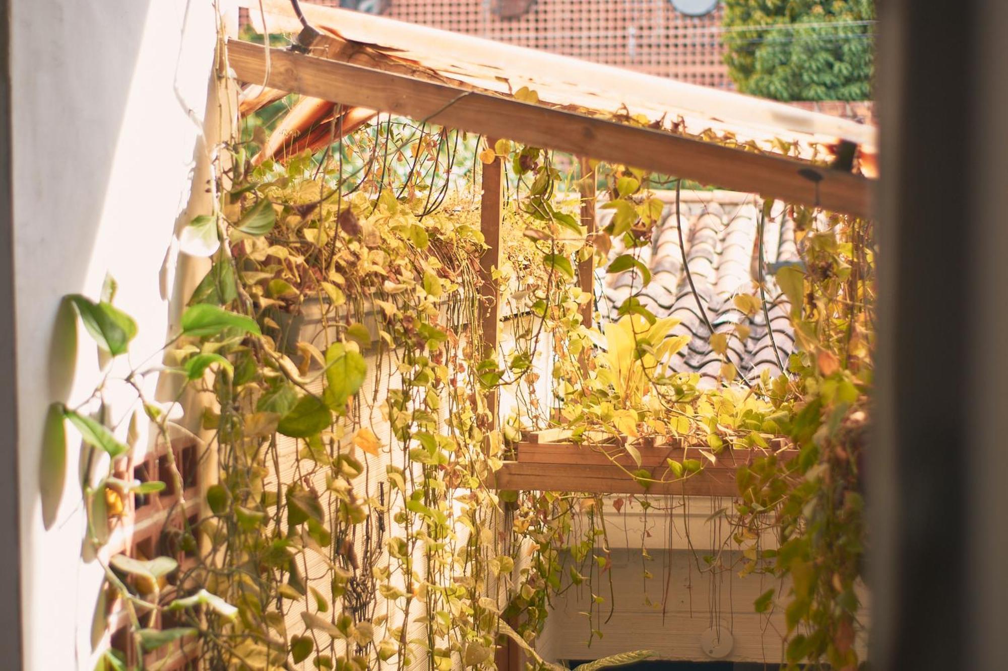 Hostal Casa Estacion *